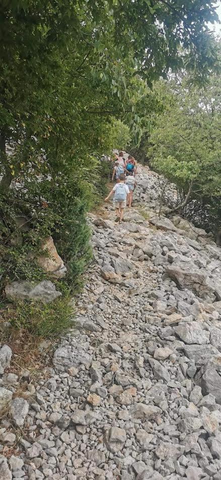 Apartman Milanko Muskovci Esterno foto